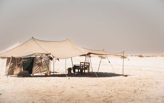 Shades of the Desert