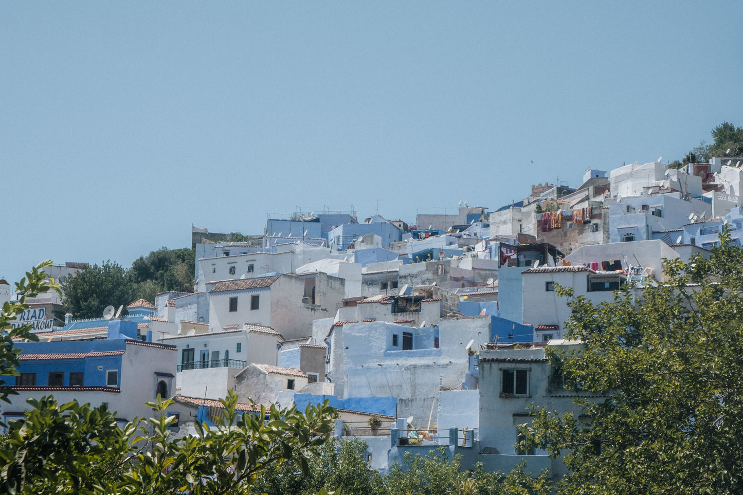 I Sea Blue