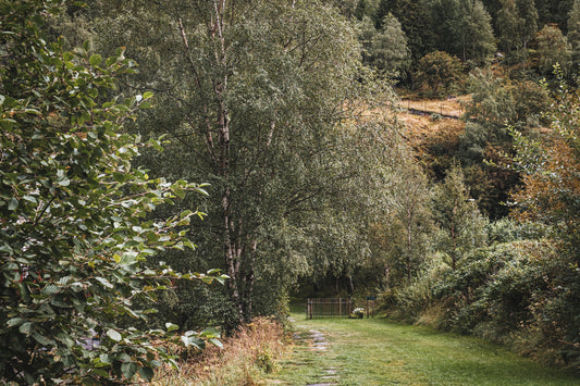 Secret Garden
