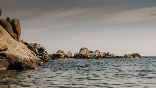 Softened By The Sea
