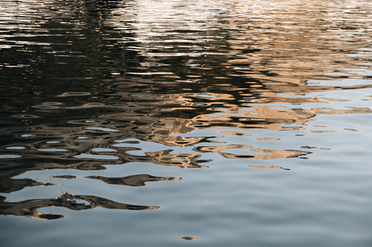 The Ripple Effect